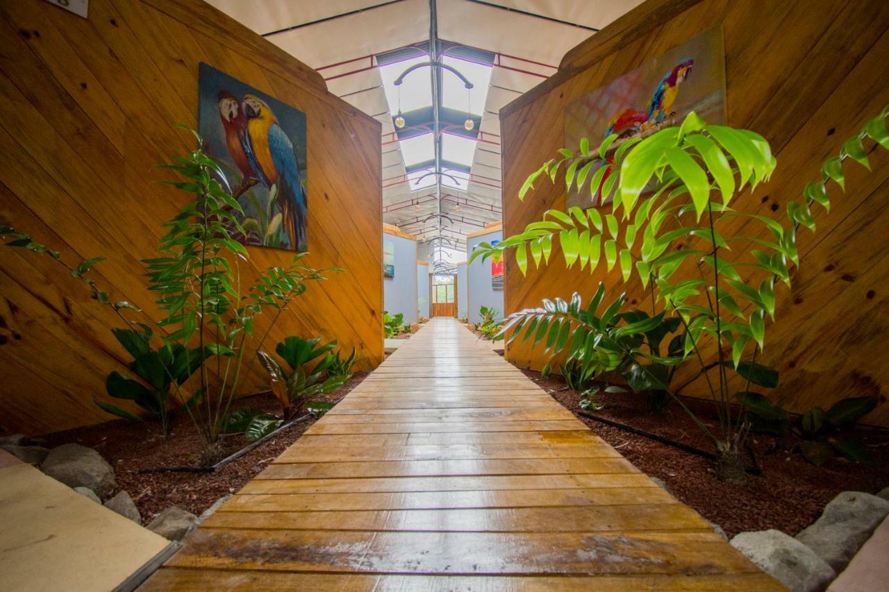 Hotel Hacienda Don Paolo San Vito エクステリア 写真